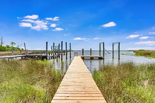 1735 Lark Ln, Saint George Island, FL 32328 - Photo 47