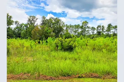 Tbd Sealy Dr, Wewahitchka, FL 32465 - Photo 9