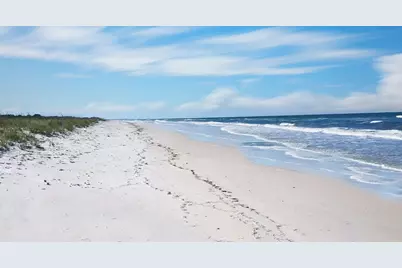 Tbd Sealy Dr, Wewahitchka, FL 32465 - Photo 13