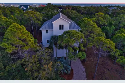 2009 Turpentine Trl, Saint George Island, FL 32328 - Photo 3