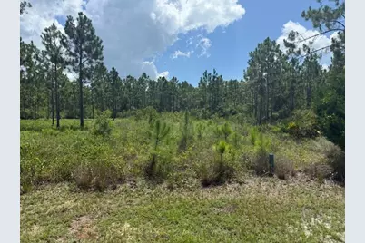 37 &amp; 38 Shallow Reed Dr, Port Saint Joe, FL 32456 - Photo 5