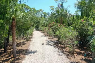 2123 Blue Heron Trl, Saint George Island, FL 32328 - Photo 59