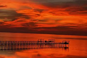 2123 Blue Heron Trail, Saint George Island, FL 32328 - Photo 35