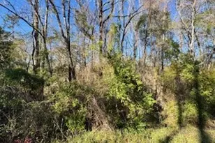 115 Rose St, Sopchoppy, FL 32358 - Photo 1