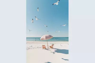 717 Fortner Ave, Mexico Beach, FL 32456 - Photo 3