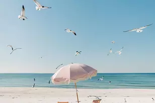 717 Fortner Ave, Mexico Beach, FL 32456 - Photo 3