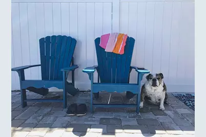 165 Driftwood Ave, Cape San Blas, FL 32456 - Photo 5