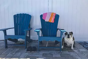 165 Driftwood Ave, Cape San Blas, FL 32456 - Photo 5