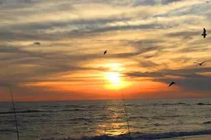 104 S 35th St, Mexico Beach, FL 32456 - Photo 75