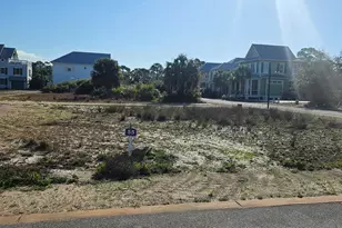 Lot 55 Cord Grass Way, Port Saint Joe, FL 32456 - Photo 1