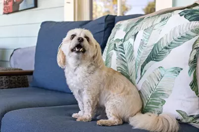 201 8th St, Port Saint Joe, FL 32456 - Photo 87