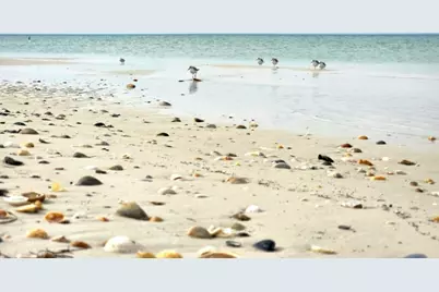 Lot 5 Planters Way, Cape San Blas, FL 32456 - Photo 11