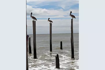 2276 Indian Pass Rd, Port Saint Joe, FL 32456 - Photo 19