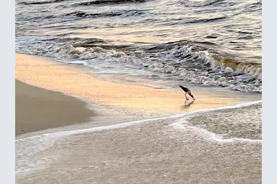 2276 Indian Pass Rd, Port Saint Joe, FL 32456 - Photo 9