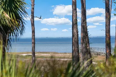 961 Cape San Blas Rd, Cape San Blas, FL 32456 - Photo 61