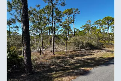 1364 Acacia Dr, Saint George Island, FL 32328 - Photo 7