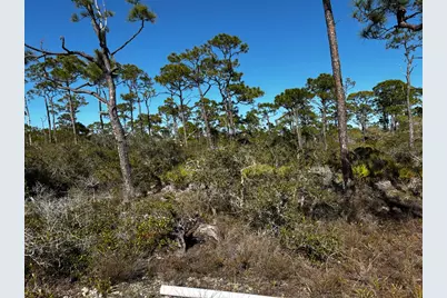 1364 Acacia Dr, Saint George Island, FL 32328 - Photo 3