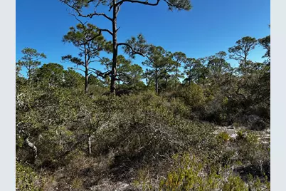 1364 Acacia Dr, Saint George Island, FL 32328 - Photo 5