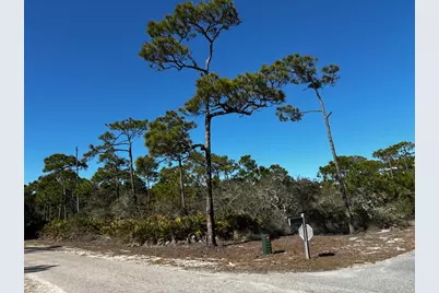 2000 Pelican Way, Saint George Island, FL 32328 - Photo 3