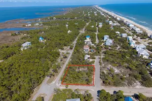 2000 Pelican Wy, Saint George Island, FL 32328 - Photo 1