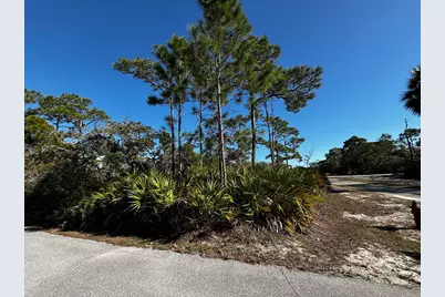 2000 Pelican Way, Saint George Island, FL 32328 - Photo 7