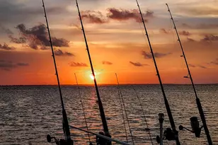 235 Kim Kove, Mexico Beach, FL 32456 - Photo 65