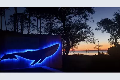 2319 Hwy 98 W, Carrabelle, FL 32322 - Photo 57