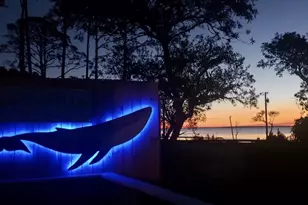 2319 Hwy 98 W, Carrabelle, FL 32322 - Photo 57