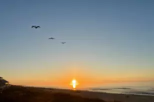 501 W Gulf Beach Dr, Saint George Island, FL 32328 - Photo 41