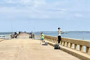 501 W Gulf Beach Dr, Saint George Island, FL 32328 - Photo 47