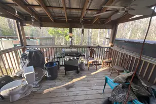 223 High Roller Soldier Rd, Wewahitchka, FL 32465 - Photo 13