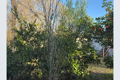 223 High Roller Soldier Rd, Wewahitchka, FL 32465 - Photo 15