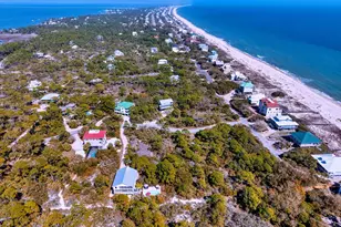 1464 Bayberry Ln, Saint George Island, FL 32328 - Photo 71