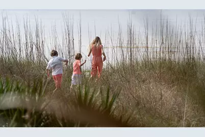 147 Lightning Bug Ln, Saint Teresa, FL 32358 - Photo 19