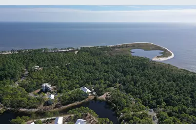 147 Lightning Bug Ln, Saint Teresa, FL 32358 - Photo 37