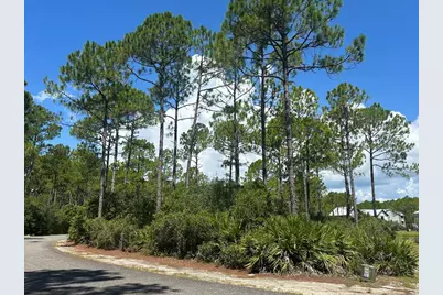 147 Lightning Bug Ln, Saint Teresa, FL 32358 - Photo 3