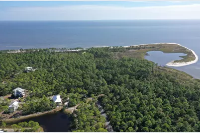 147 Lightning Bug Ln, Saint Teresa, FL 32358 - Photo 43