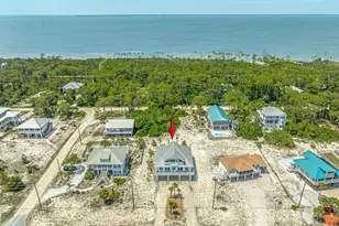809 E Gulf Beach Dr, Saint George Island, FL 32328 - Photo 47