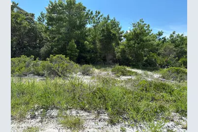 229 Seagrass Cir, Cape San Blas, FL 32456 - Photo 15