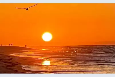 1748 E Gulf Beach Dr, Saint George Island, FL 32328 - Photo 9