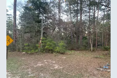 Lot 11 Buckhorn Creek Rd, Sopchoppy, FL 32358 - Photo 5