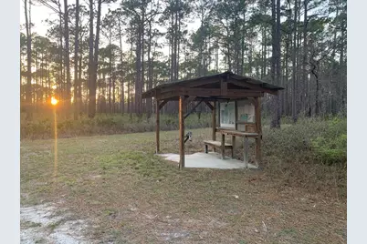 Lot 11 Buckhorn Creek Rd, Sopchoppy, FL 32358 - Photo 7