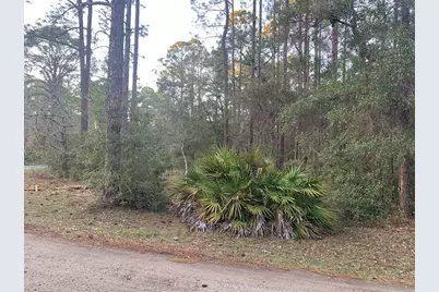 Lot 11 Buckhorn Creek Rd, Sopchoppy, FL 32358 - Photo 3