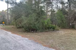 Lot 11 Buckhorn Creek Rd, Sopchoppy, FL 32358 - Photo 1