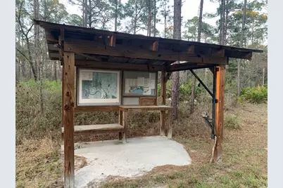 Lot 11 Buckhorn Creek Rd, Sopchoppy, FL 32358 - Photo 9