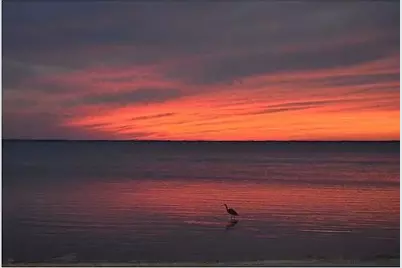 78 Regatta Dr, Port Saint Joe, FL 32456 - Photo 27