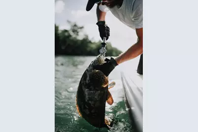 111 St Christopher St, Mexico Beach, FL 32456 - Photo 59