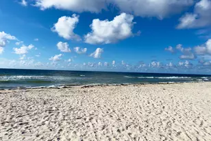 2124 Seahorse Ln, Saint George Island, FL 32328 - Photo 55