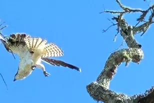 40 7th St, Apalachicola, FL 32320 - Photo 35