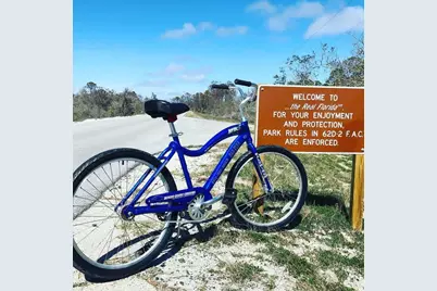 275 Moonrise Ave, Cape San Blas, FL 32456 - Photo 31